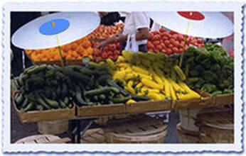 Blue & Red Plant Shade Covers protect produce at vegetable stand